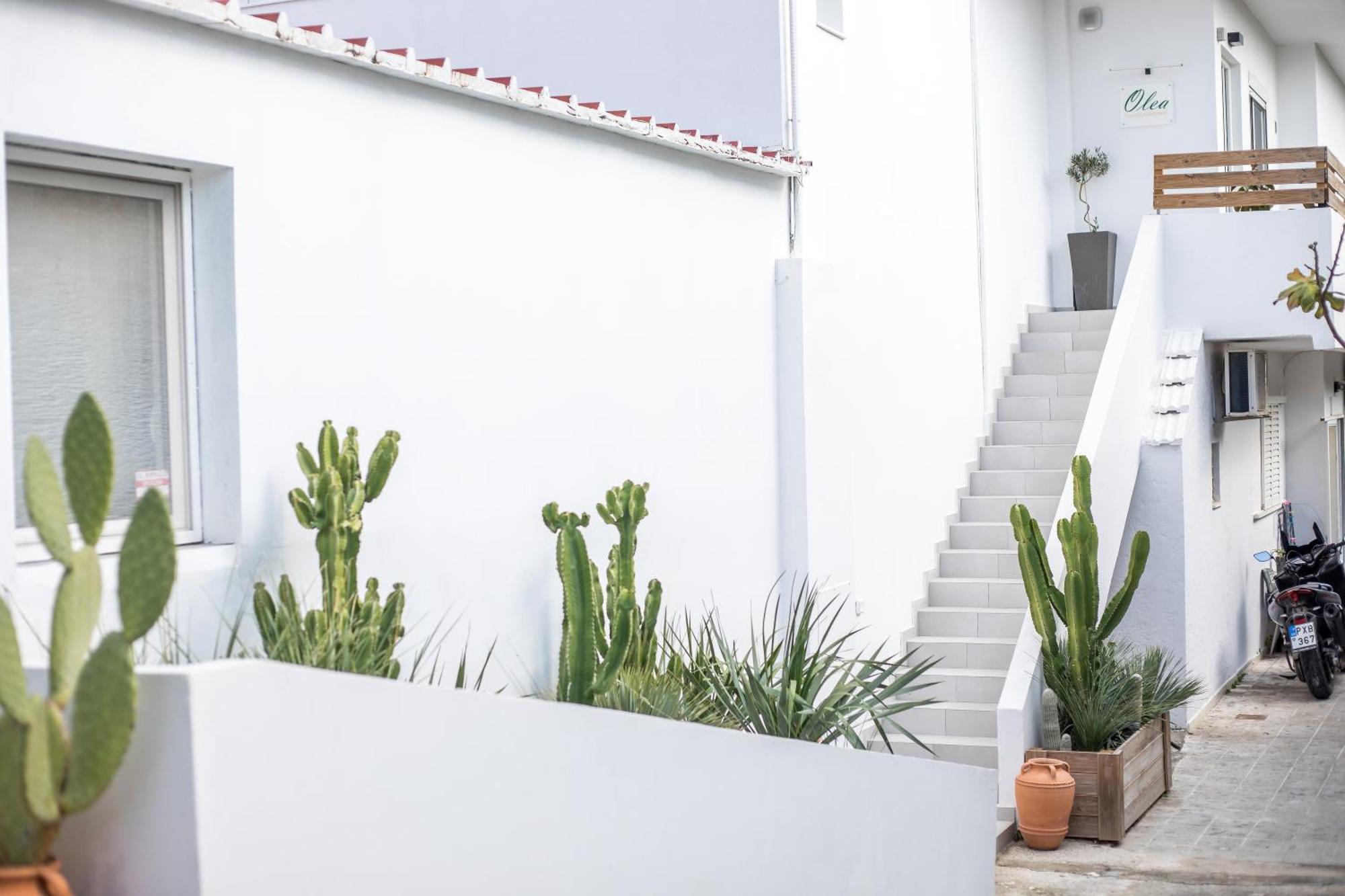 Olea Luxury Apartment Afantou Exteriér fotografie