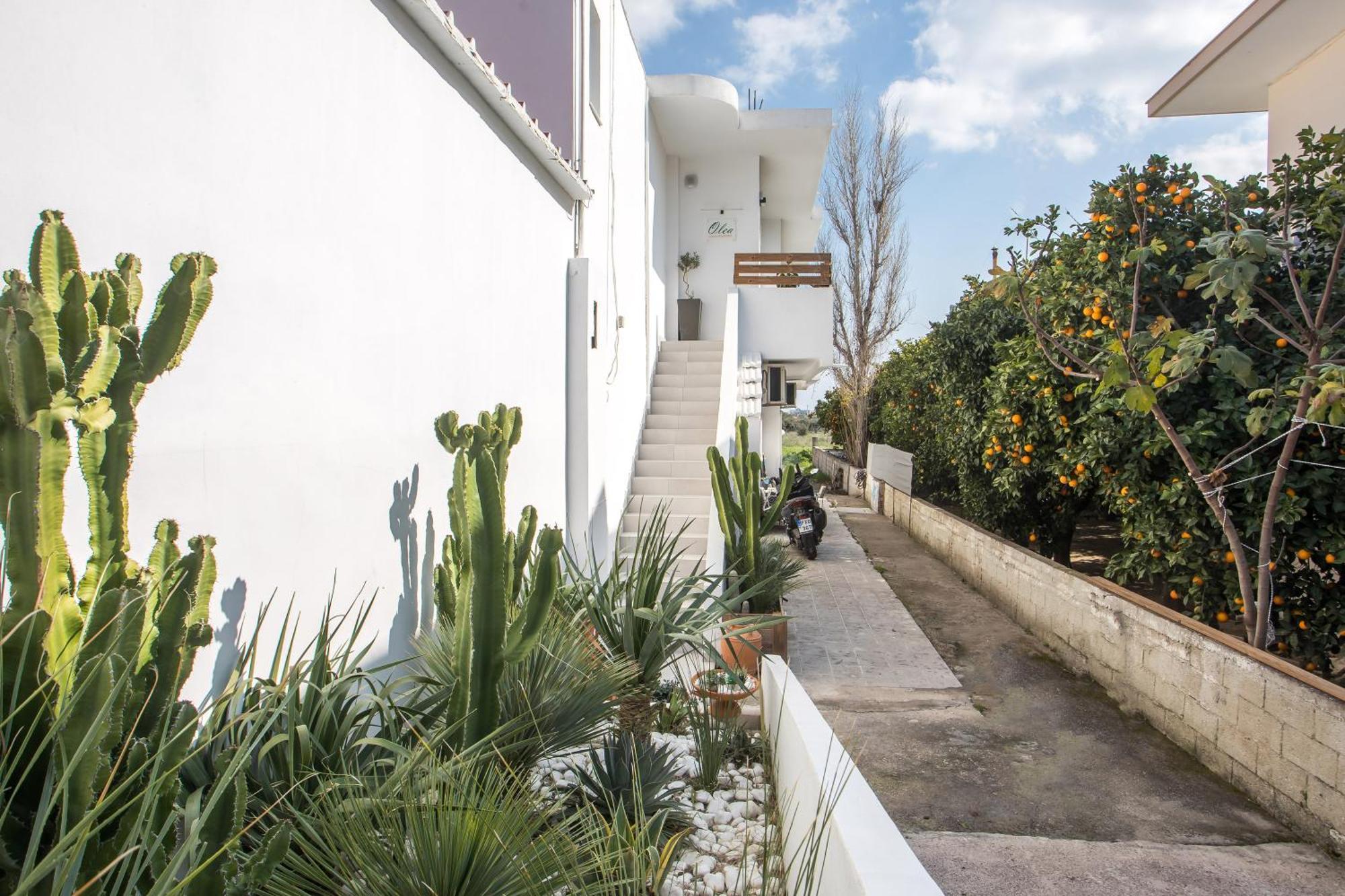Olea Luxury Apartment Afantou Exteriér fotografie
